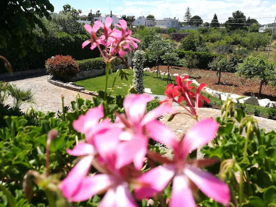 Casa Marisa Villa Vacanza كاستيلانا غروتي المظهر الخارجي الصورة