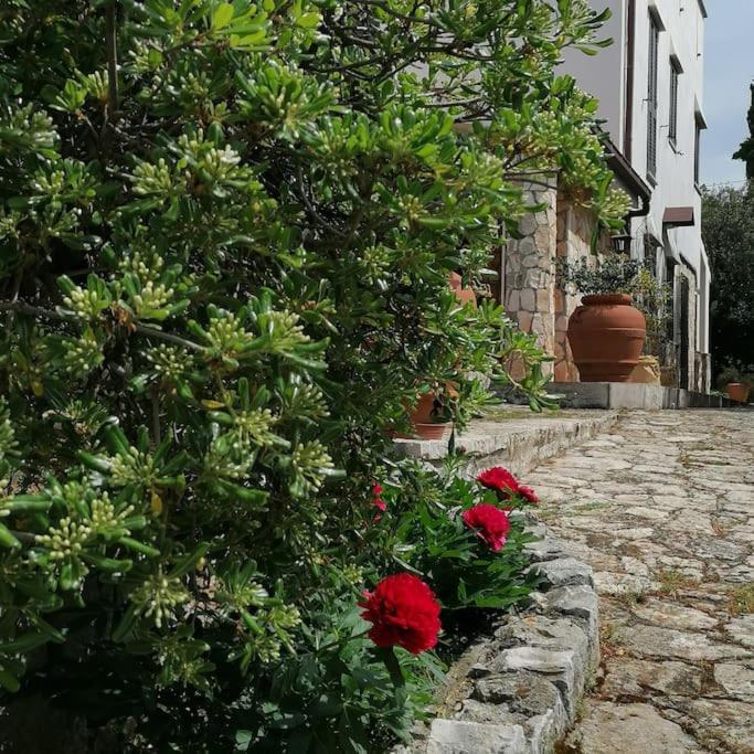 Casa Marisa Villa Vacanza كاستيلانا غروتي المظهر الخارجي الصورة