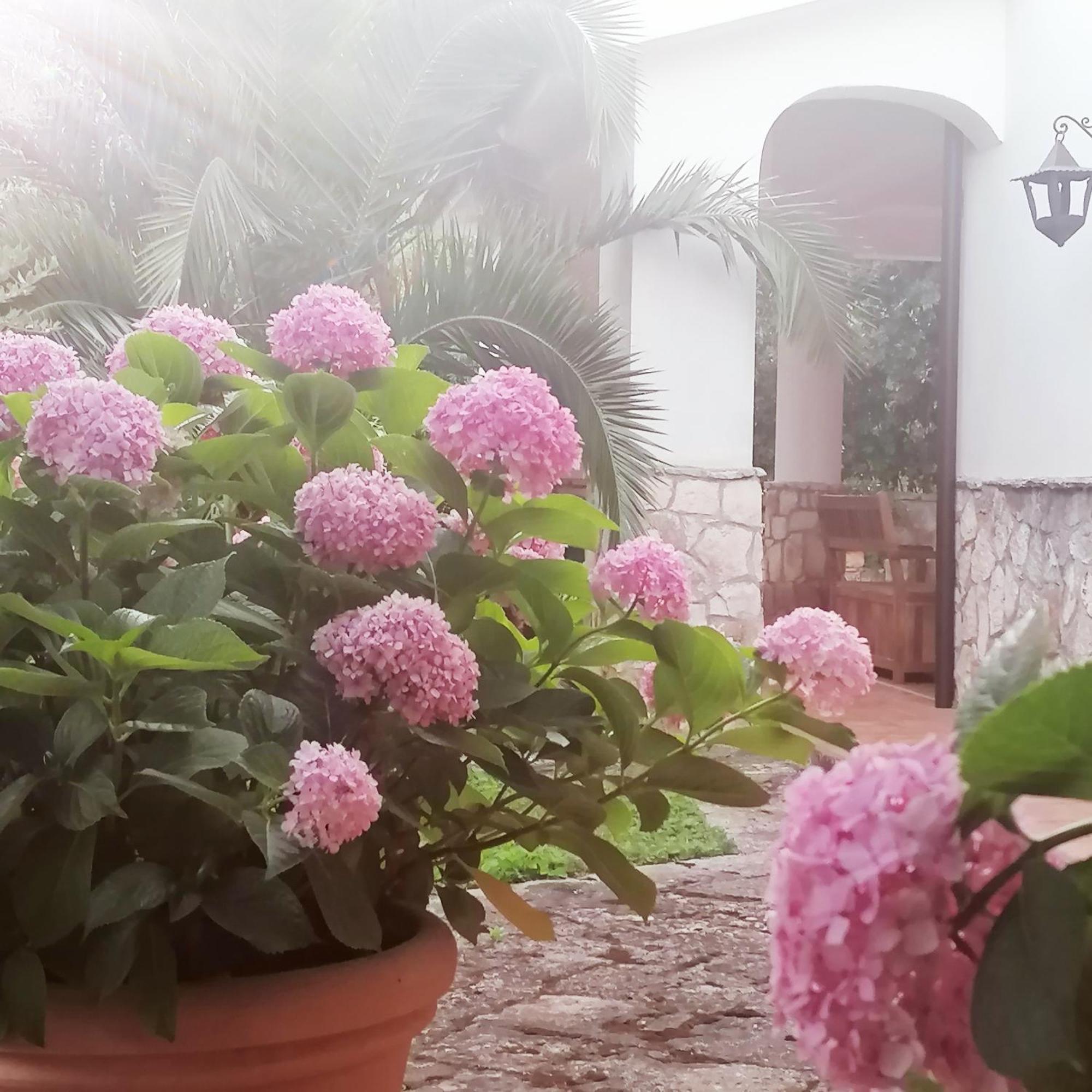 Casa Marisa Villa Vacanza كاستيلانا غروتي المظهر الخارجي الصورة